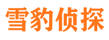 青铜峡市调查公司